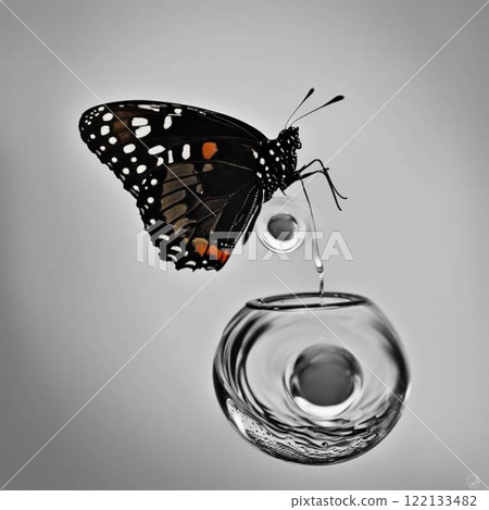 Water droplet insect butterfly bee water environment green Water droplet insect butterfly bee water environment green 122133482