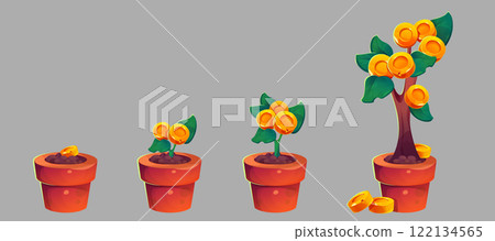 Money tree growth set 122134565