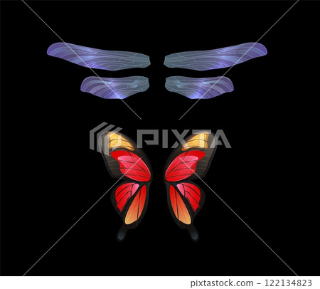 Fairy butterfly and dragonfly wings vector set, cartoon pair of glowing iridescent wings, fantasy insect decorations Fairy butterfly and dragonfly wings vector set, cartoon pair of glowing iridescent wings, fantasy insect decorations 122134823