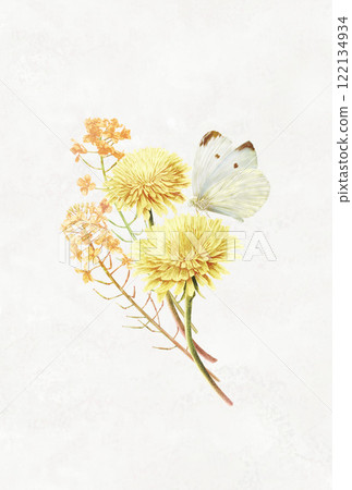 結合了蒲公英、油菜花、白菜蝴蝶等可用於插畫的春天插畫。 結合了蒲公英、油菜花、白菜蝴蝶等可用於插畫的春天插畫。 122134934
