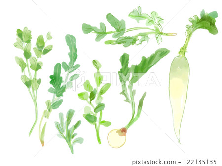 春天七種草藥的寫實水彩插圖 122135135