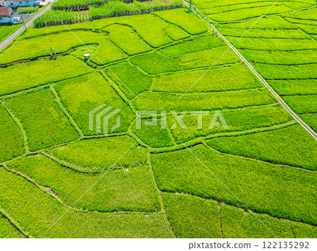 Aerial view rice field infront of Simbar Semeru volcano 122135292