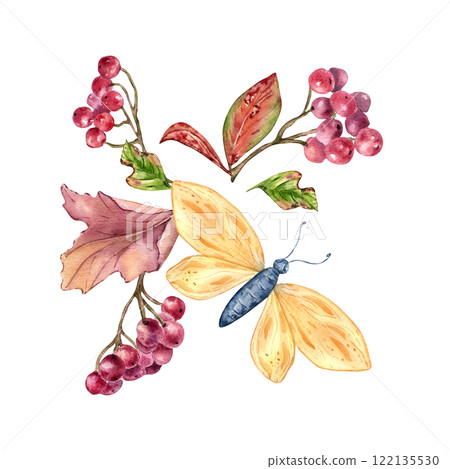 Butterfly and berries viburnum autumn watercolor composition isolated on white. Rowan red berry branches with fall leaves hand drawn. Fall illustration forest plants and insect for nature theme. 122135530