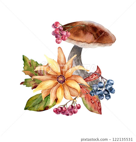 Aspen mushrooms with yellow flower and rowan berries in watercolor composition isolated. Daisy and black chokeberry painted in botanical sketch. Autumn illustration with wild forest plants hand drawn. Aspen mushrooms with yellow flower and rowan berries in watercolor composition isolated. Daisy and black chokeberry painted in botanical sketch. Autumn illustration with wild forest plants hand drawn. 122135531