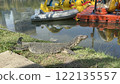 Mizu lizard 122135557
