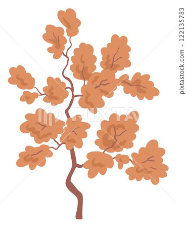 A young tree or bush with foliage 122135783