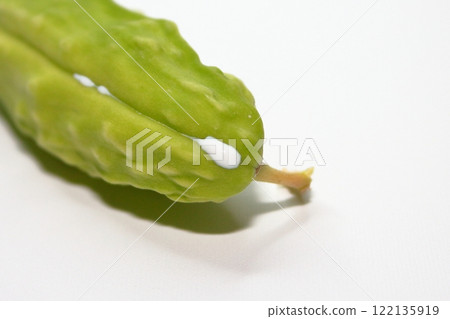 秋季馬利筋。白色液體 122135919