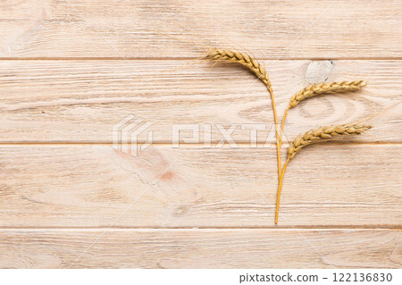 Sheaf of wheat ears close up and seeds on colored background. Natural cereal plant, harvest time concept. Top view, flat lay with copy space. world wheat crisis Sheaf of wheat ears close up and seeds on colored background. Natural cereal plant, harvest time concept. Top view, flat lay with copy space. world wheat crisis 122136830
