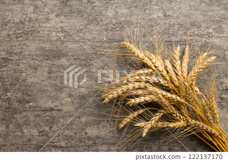 Sheaf of wheat ears close up and seeds on colored background. Natural cereal plant, harvest time concept. Top view, flat lay with copy space. world wheat crisis 122137170
