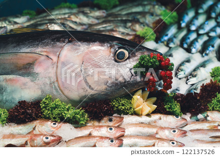 Large fish displayed with red berries and greens 122137526