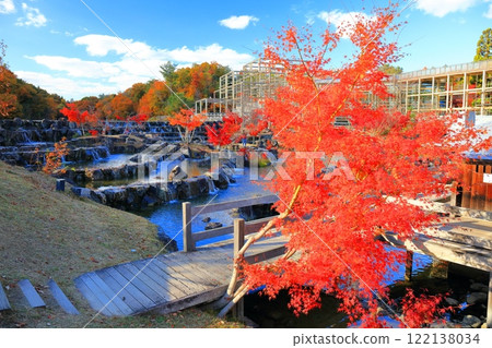 [京都府]京阪奈紀念公園水景台及紅葉 122138034