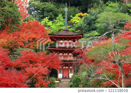 [京都府]晴朗的日子，淨琉璃寺庭園的三層寶塔與秋葉 122138038