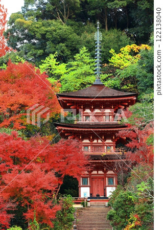 [Kyoto Prefecture] Three-story pagoda and autumn leaves in the gardens of Joruriji Temple on a clear day 122138040