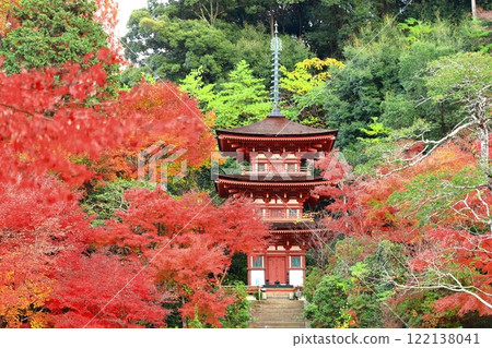[京都府]晴朗的日子，淨琉璃寺庭園的三層寶塔與秋葉 122138041