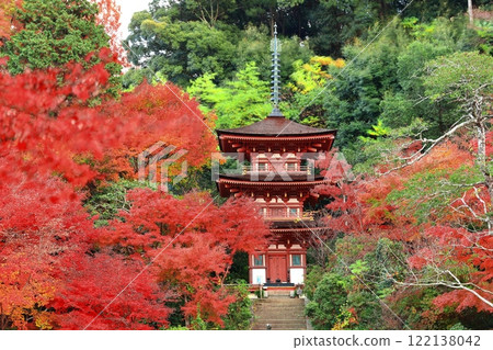 [京都府]晴朗的日子，淨琉璃寺庭園的三層寶塔與秋葉 122138042