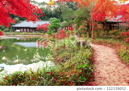 [京都府]晴天時淨琉璃寺庭園的正堂和秋葉 122138052