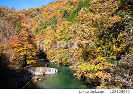 國道257號線和馬瀨川沿岸的紅葉（岐阜縣清美町） 122138083