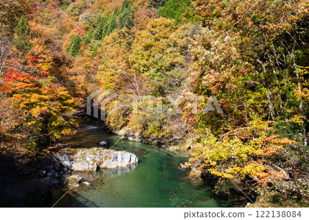 國道257號線和馬瀨川沿岸的紅葉（岐阜縣清美町） 122138084
