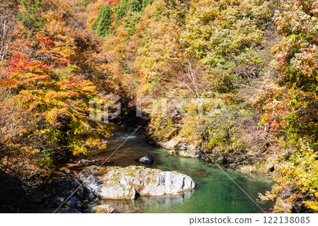 Autumn leaves along National Route 257 and Maze River, Kiyomi Town, Gifu Prefecture Autumn leaves along National Route 257 and Maze River, Kiyomi Town, Gifu Prefecture 122138085