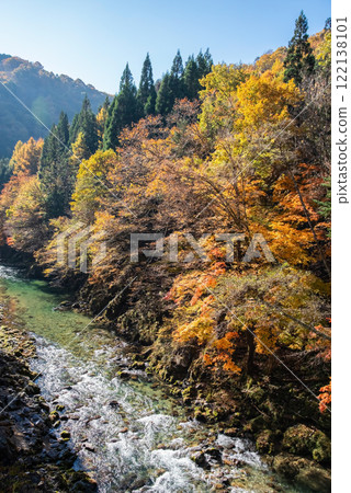 Autumn leaves along National Route 257 and Maze River, Kiyomi Town, Gifu Prefecture 122138101