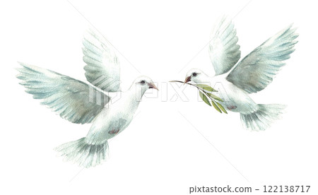 Two dove. Flying pigeon with olive green branch White birds, symbol of peace, religious sign. Watercolor hand drawn illustration for Christening, Easter, Baptism card. Clipart Isolated from background Two dove. Flying pigeon with olive green branch White birds, symbol of peace, religious sign. Watercolor hand drawn illustration for Christening, Easter, Baptism card. Clipart Isolated from background 122138717