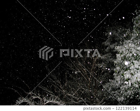 A mysterious snowy night 122139114