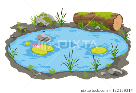 Picturesque natural pond. Blue water pond with reeds and stones. Concept of outdoor scene, open small swamp lake. Countryside landscape vector cartoon illustration Picturesque natural pond. Blue water pond with reeds and stones. Concept of outdoor scene, open small swamp lake. Countryside landscape vector cartoon illustration 122139314