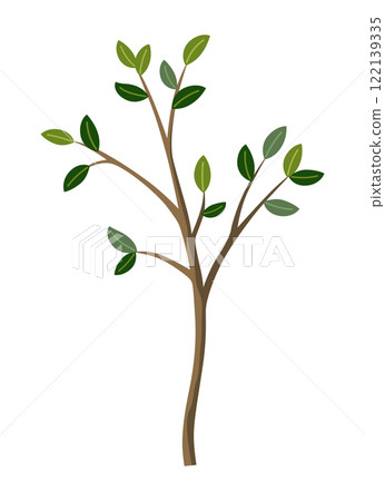 Life cycle of lemon tree. Vector young tree side view isolated on white background for landscape and architecture drawing, elements for environment and garden 122139335