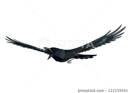 Raven. Silhouette Representing Bird Specie Captured in Moment of Flight and Resting Raven. Silhouette Representing Bird Specie Captured in Moment of Flight and Resting 122139391