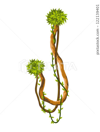 Liana branch. Twisted wild jungle vine plants. Woody natural tropical rainforest, exotic botany element. Vector design element Liana branch. Twisted wild jungle vine plants. Woody natural tropical rainforest, exotic botany element. Vector design element 122139401