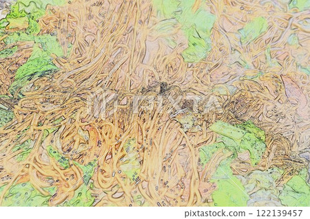 CG image illustration Japanese food yakisoba 3, perfected in Japan 122139457