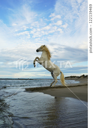 The neigh of a white horse The neigh of a white horse 122139469