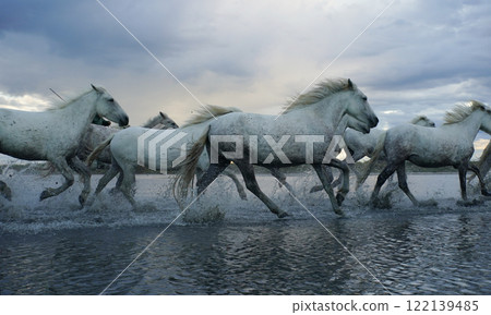 跑白馬 122139485