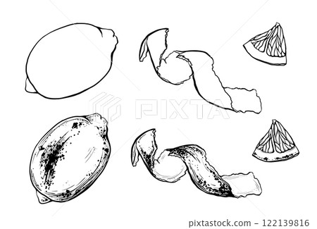 Set of slice and whole lemon, peel or zest of Lemon and isolated on white background. Vector ink vintage engraving illustration for menu, web and label. Hand drawn in a graphic linear drawing citrus. Set of slice and whole lemon, peel or zest of Lemon and isolated on white background. Vector ink vintage engraving illustration for menu, web and label. Hand drawn in a graphic linear drawing citrus. 122139816
