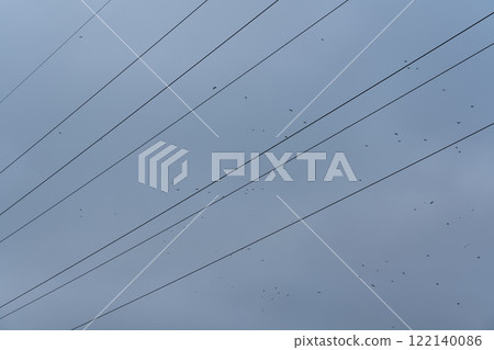 Wires of power lines on the background of the sky. Minimalism, birds in the sky 122140086