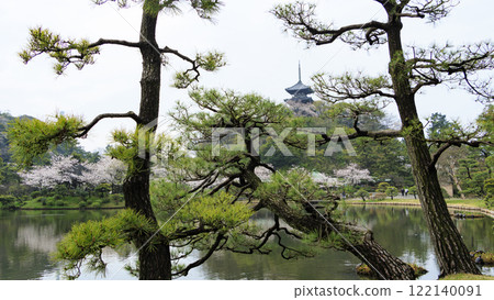 在Sanpi花園的櫻花 122140091