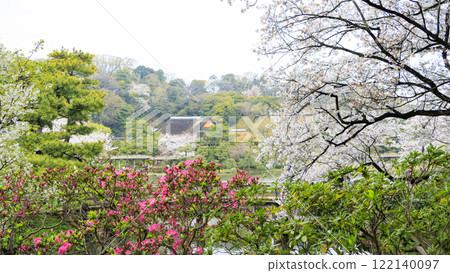 Cherry blossoms at Sanpi Garden 122140097