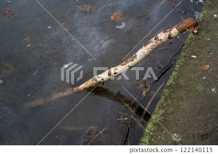 A birch stick sticks out in the frozen water. The stick sticks out in the ice 122140115