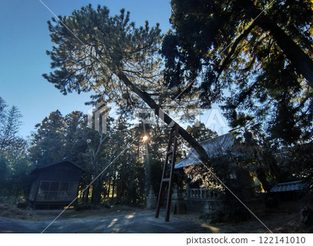 群馬縣明和町川又的栗島神社，神樹大黑松 122141010