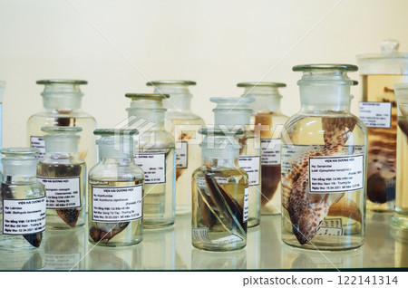 flasks test tubes with samples of living organisms and animals in formaldehyde in biological scientific laboratory 122141314