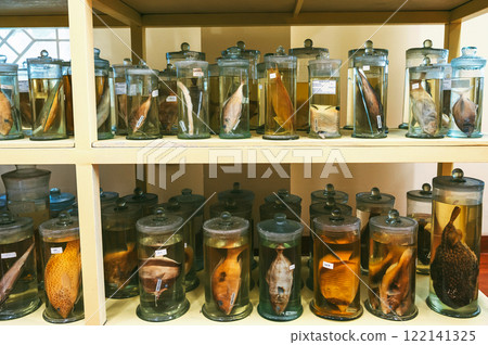 flasks and test tubes with samples of living organisms and animals in formaldehyde in biological laboratory 122141325