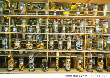 flasks with marine animals and fish on shelves in the biological science laboratory flasks with marine animals and fish on shelves in the biological science laboratory 122141326