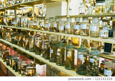 flasks with marine animals and fish on shelves in the biological science laboratory flasks with marine animals and fish on shelves in the biological science laboratory 122141329