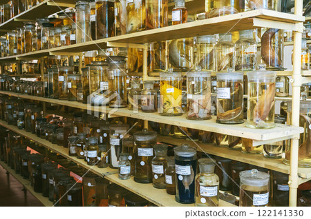 flasks and test tubes with samples of snakes and marine animals, fish on shelf of the scientific educational laboratory 122141330