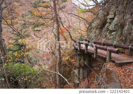 秋天的龍王，日光市，紫龍王木棧道 122142401