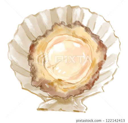 新鮮美味扇貝的逼真水彩插圖 122142413
