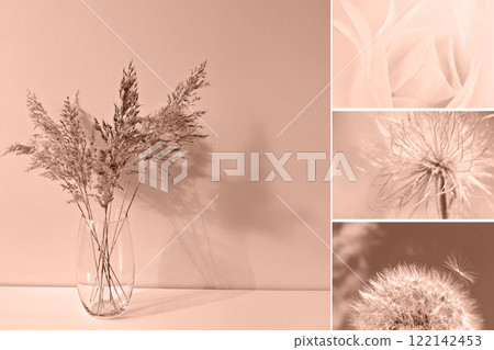 Collage highlighting dried pampas grass in vase, delicate roses, and dandelions in warm mocha mousse tones for natural and calming vibe Collage highlighting dried pampas grass in vase, delicate roses, and dandelions in warm mocha mousse tones for natural and calming vibe 122142453