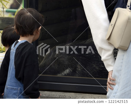 Scenery of the zoo 122142515