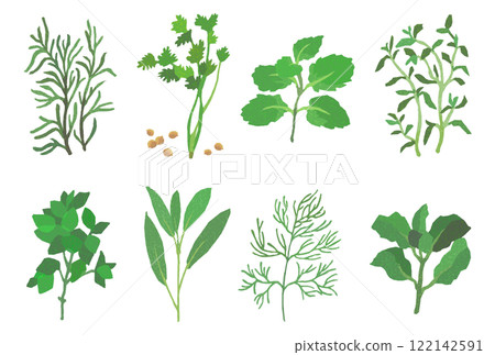 A simple illustration set of a wide variety of herbs 122142591
