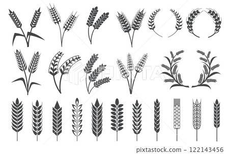 Wheat ears silhouettes. Barley ears, oat grains rice spike cereal plant spikelet black logo icons bread bakery or beer products emblems farm harvest symbol neat vector illustration 122143456